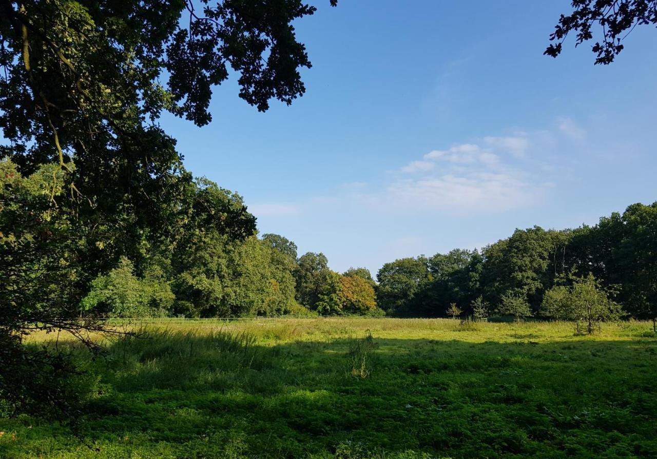 Wohlfuehloase Am Bad Zwischenahner Meer Exterior foto